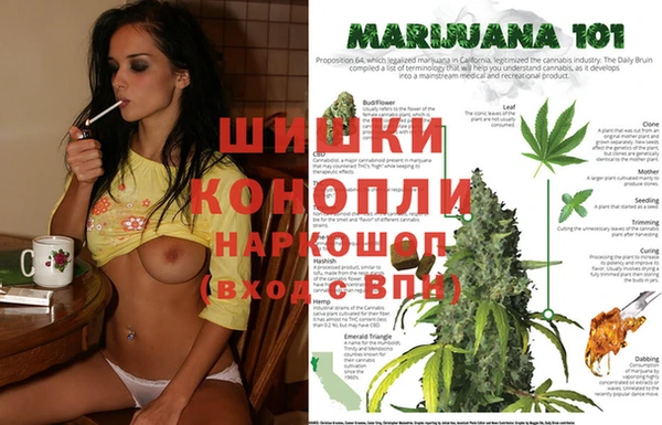 эйфоретик Нея