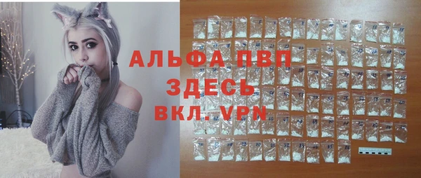 спиды Нефтекумск
