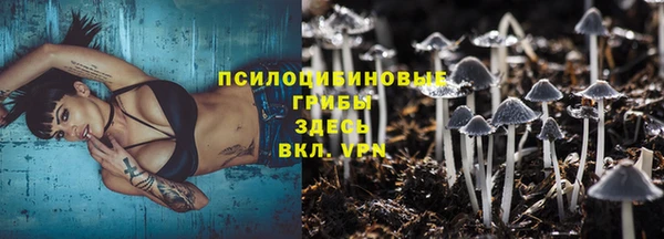 спиды Нефтекумск