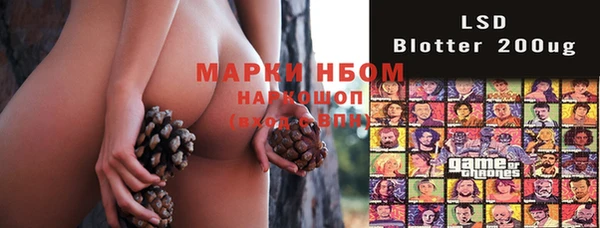стафф Нефтегорск