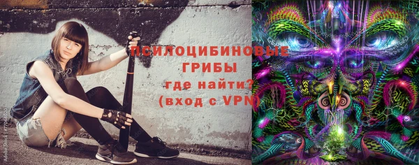 спиды Нефтекумск