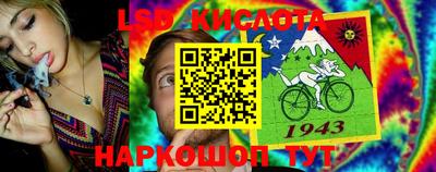 гидропоника Гагарин