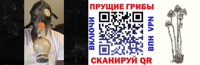 маркетплейс состав  Комсомольск-на-Амуре  Галлюциногенные грибы ЛСД 