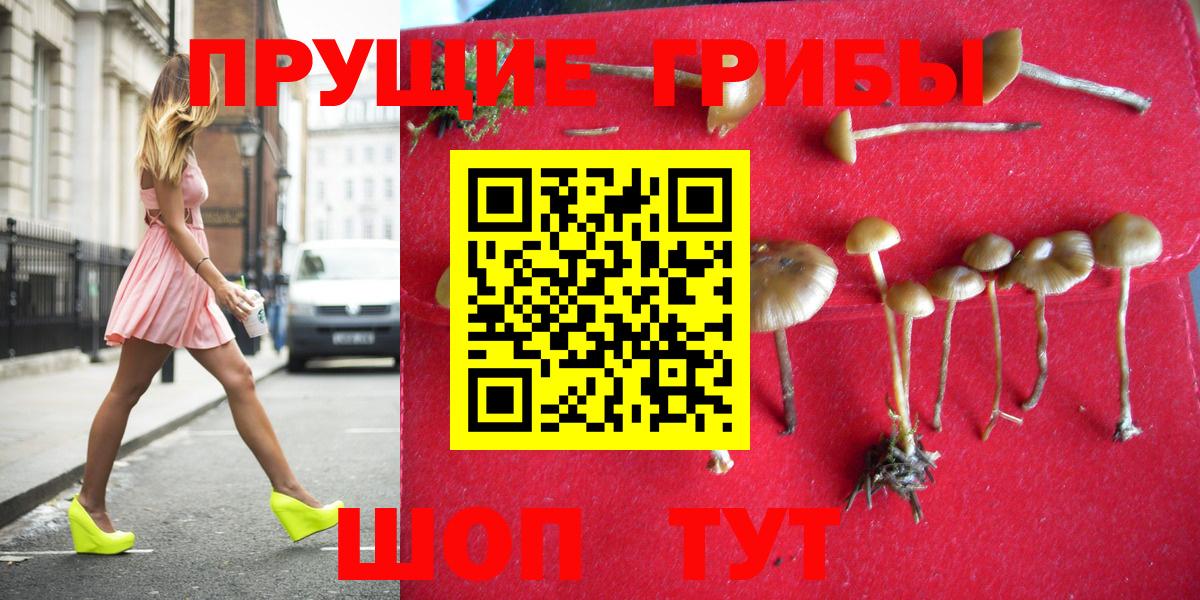 Галлюциногенные грибы Psilocybine cubensis  Вход с VPN  наркотики  Комсомольск-на-Амуре 